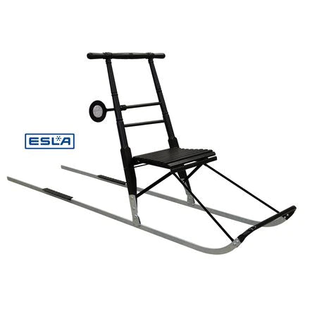 Load image into Gallery viewer, Esla Kicksled T6 Large
