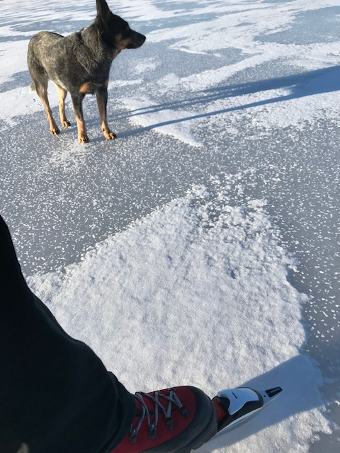 Ice Condition Reports: 2026-2027 Season