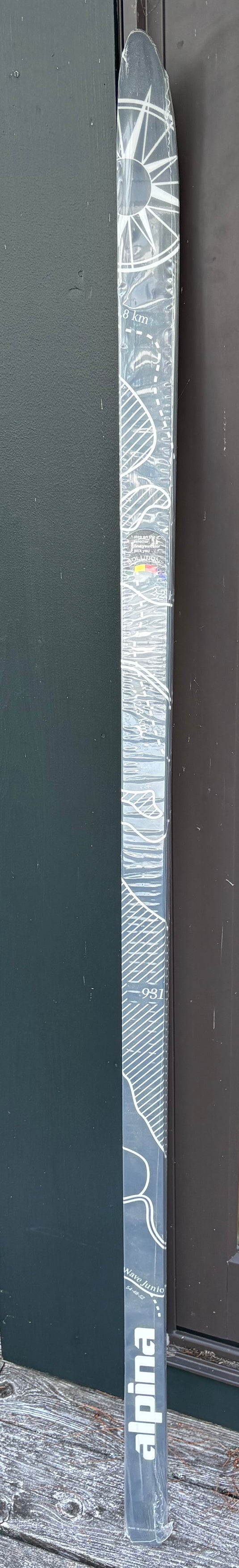 Alpina Control JR Long waxless cross-country touring skis (170 cm)