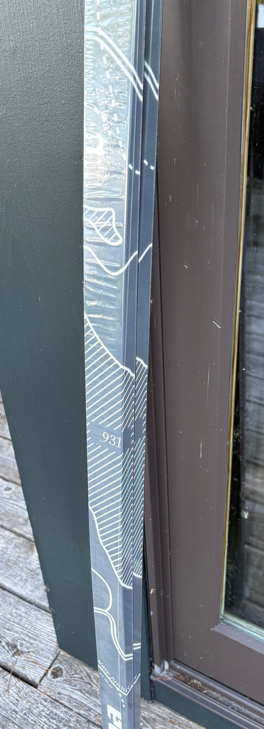 Alpina Control JR Long waxless cross-country touring skis (170 cm)