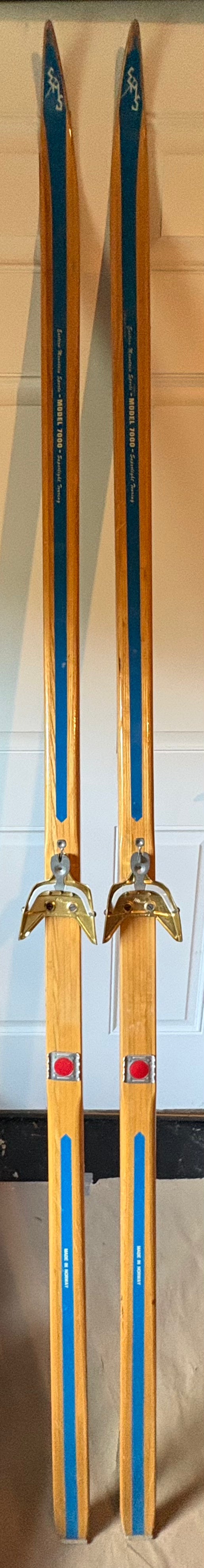Load image into Gallery viewer, EMS Model 7000 Superlight Touring Wood Skis (Used)
