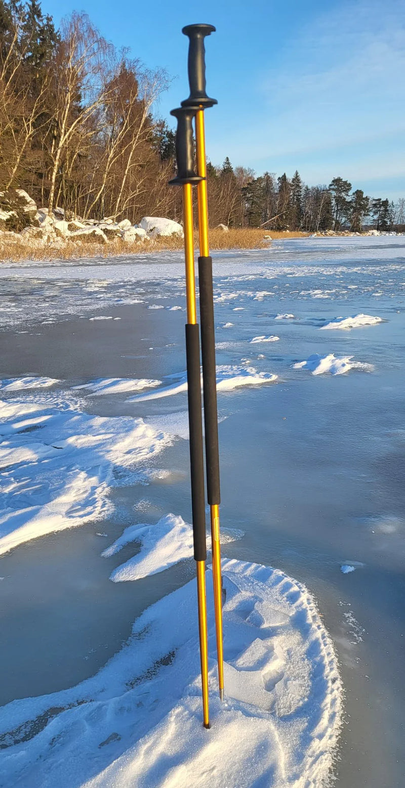Load image into Gallery viewer, Skyllermarks Skating Poles
