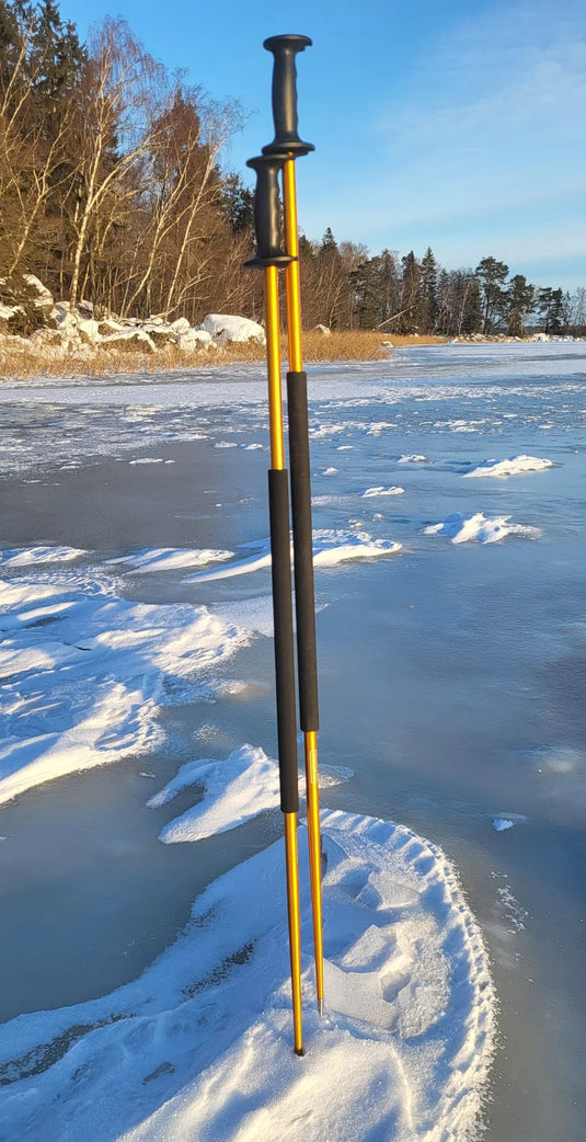 Skyllermarks Skating Poles